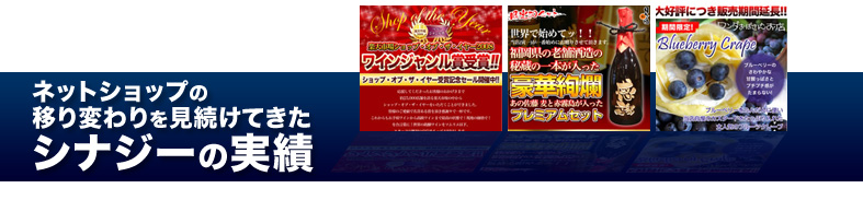 ほかとは違うシナジーの実績